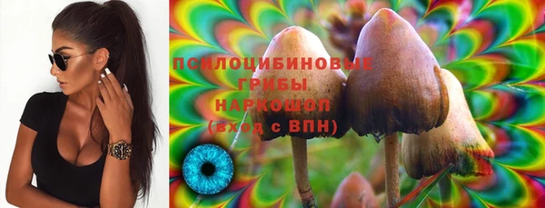 a pvp Иннополис