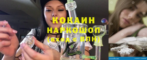 spice Инта