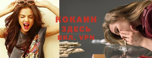 spice Инта