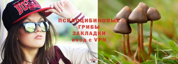 spice Инта