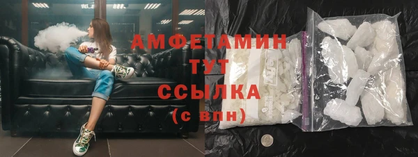 прущие грибы Инсар