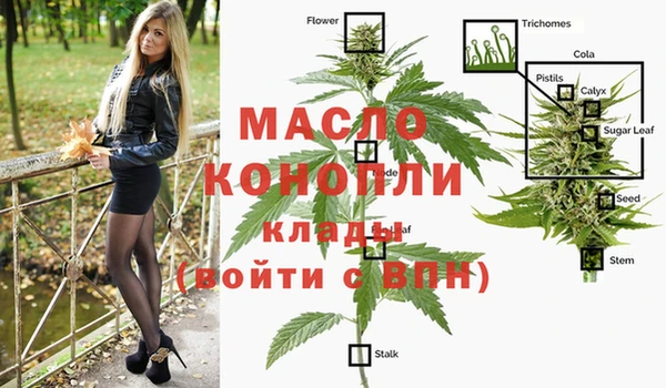 прущие грибы Инсар