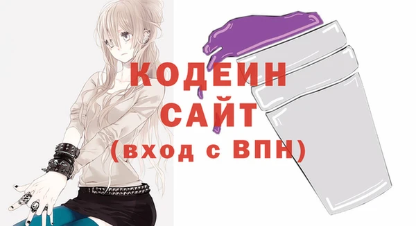 spice Инта