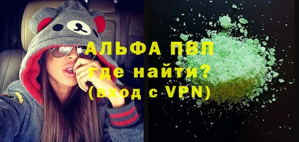 прущие грибы Инсар