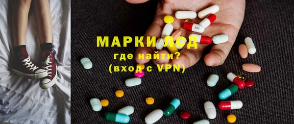 прущие грибы Инсар