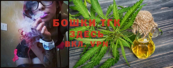 прущие грибы Инсар