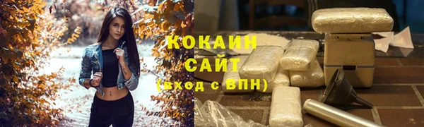 spice Инта
