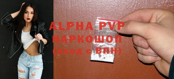 spice Инта