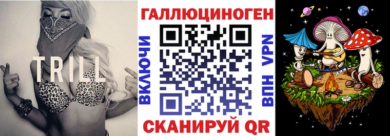 купить наркоту  Камышлов  Псилоцибиновые грибы GOLDEN TEACHER 