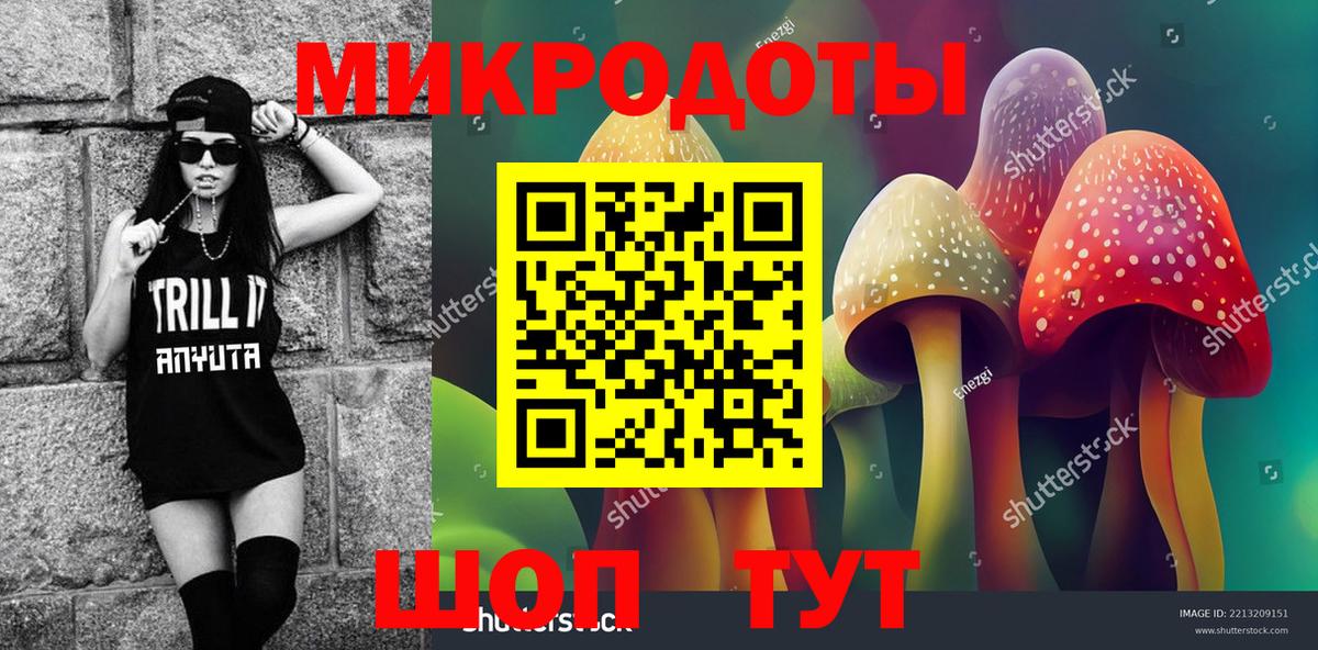 Камышлов  Псилоцибиновые грибы MAGIC MUSHROOMS  Вход с VPN  сколько стоит  Псилоцибиновые грибы мицелий 